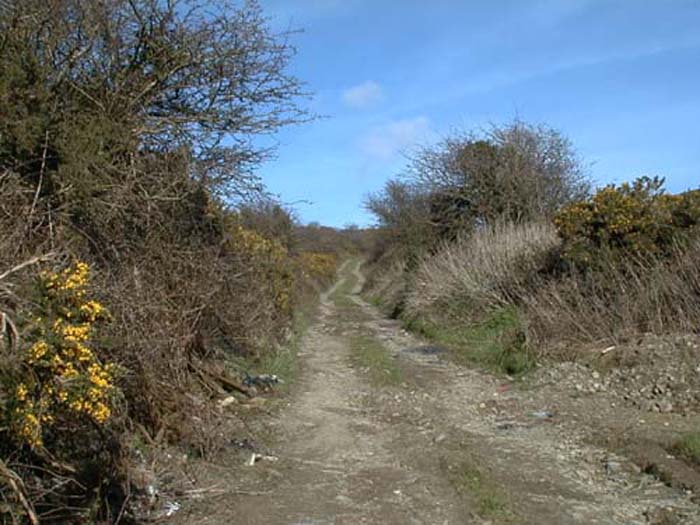 Old Boulteen road.jpg 68.8K